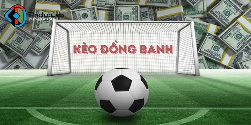 Tinclub – Nền tảng cá cược uy tín hỗ trợ kèo đồng banh chất lượng