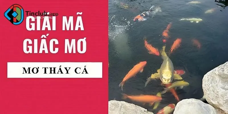 Giải mã giấc mơ thấy cá theo từng trường hợp