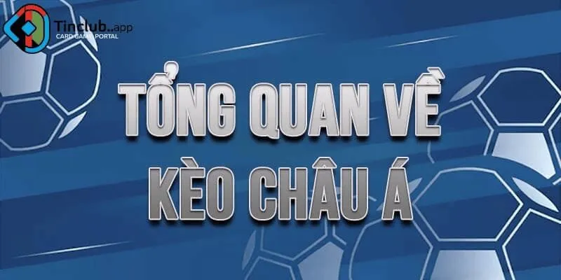 Tại sao nên chọn kèo châu Á tại Tinclub?